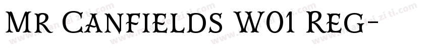 Mr Canfields W01 Reg字体转换